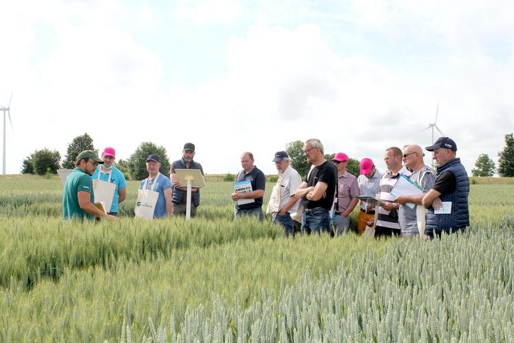 Le choix variétal des semis d’automne attire toujours beaucoup de monde dans les parcelles d’essais. 
