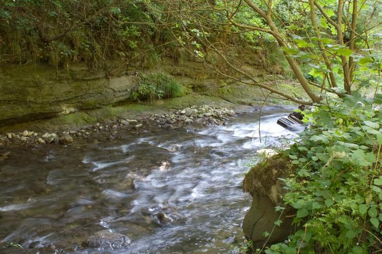 L’interdiction de fertiliser des parcelles dès 10 % de pente à proximité des cours d’eau est remplacée par une autorisation sous la condition d’une bande végétalisée continue non fertilisée d’au moins 5 mètres de large ou d’un talus d’au moins 50 cm.