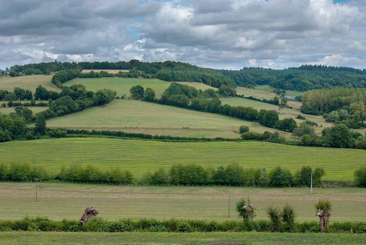 Capter et stocker du carbone dans les sols, dans les arbres, les haies ou les prairies sont des exemples de leviers. 