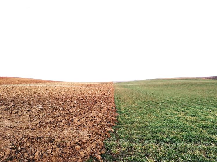 Plusieurs définitions de l’agriculture de régénération coexistent. Elle est le plus souvent recentrée sur des pratiques d’«amélioration du sol» en s’approchant du concept d’agriculture de conservation.