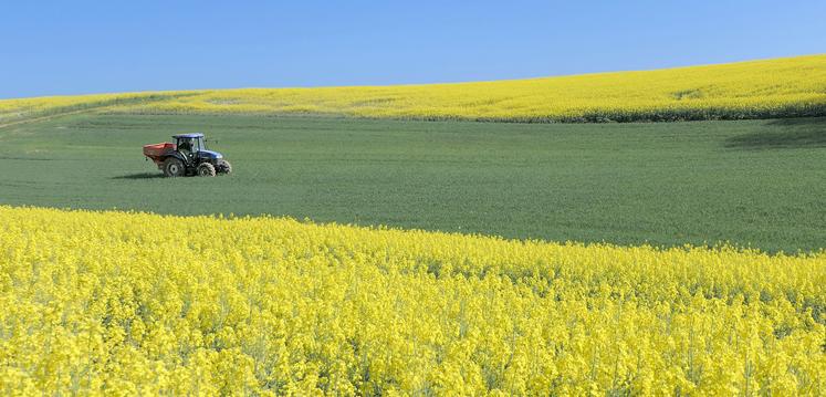 L’entrée dans l’éco-régime par les pratiques agricoles s’examine sur les prairies permanentes, sur les terres arables  et sur les cultures pérennes. 