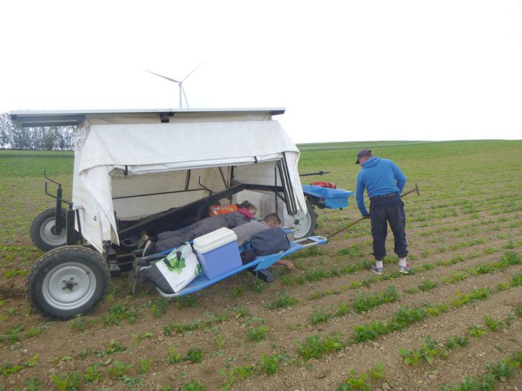 Le bedweeder réduit significativement la pénibilité du désherbage manuel. 