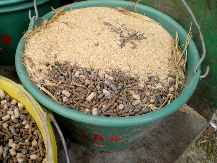 La pesée des seaux est indispensable pour limiter le gaspillage.