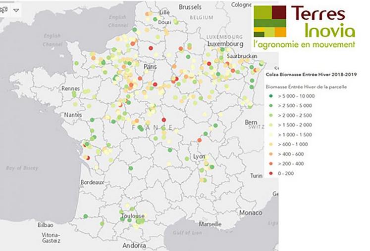 Enquête Terres Inovia 2018-2019. Biomasse : de 17 g/m2 à 4.500 g/m2.
