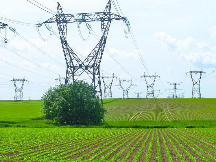 Votre entreprise peut souscrire une offre à prix de marché à tout moment avant le 31 décembre, sans préavis ni indemnités de résiliation pour votre contrat d’électricité au tarif réglementé actuel, auprès du fournisseur de votre choix.