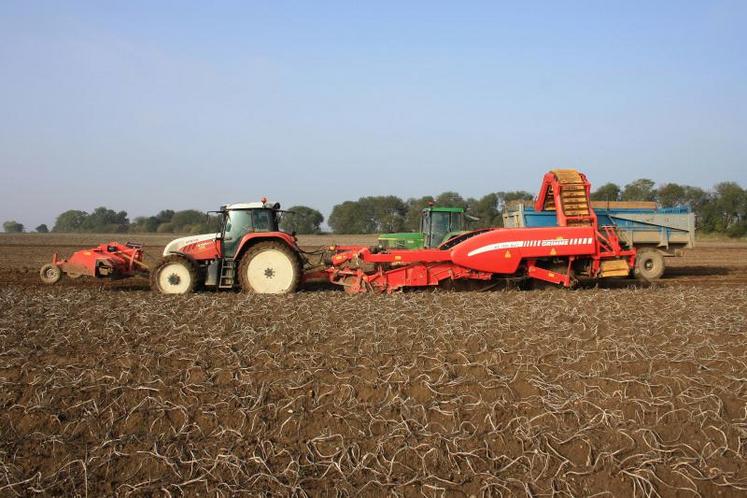 Il n’est pas rare de voir, dans la région, des producteurs de pommes de terre belges qui repartent avec leur production
en camion.
