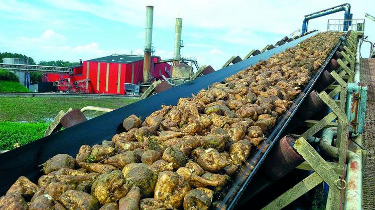 Premières betteraves de la campagne sur le tapis de l’usine de Roye.