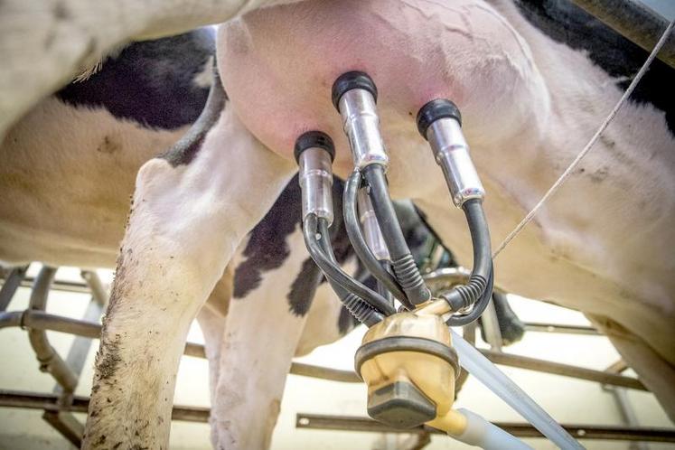 Difficile de parvenir à un accord sur les indicateurs au sein de l’interprofession laitière.