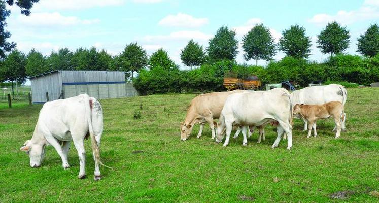 «Durant leur contrôle, les exploitants devront aller observer chaque animal dans chaque parcelle...»