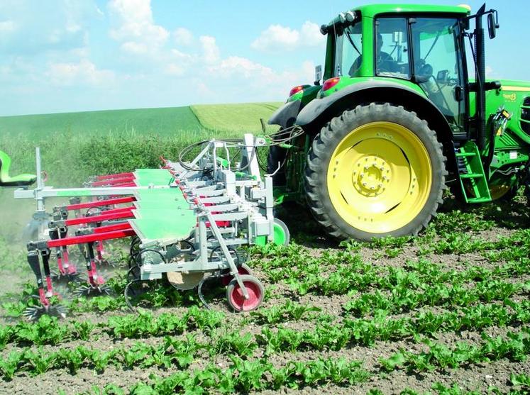 Bineuse à moulinets Agronomic sur betterave.
