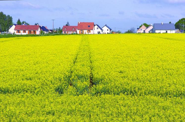 Le Plui exprime un projet de territoire pour les dix à quinze ans à venir.