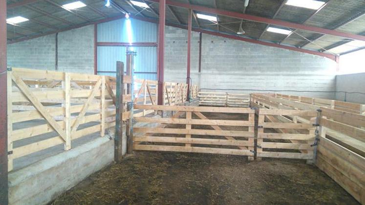 Un exemple d’aménagement d’une ancienne stabulation pour vaches laitières en bergerie.