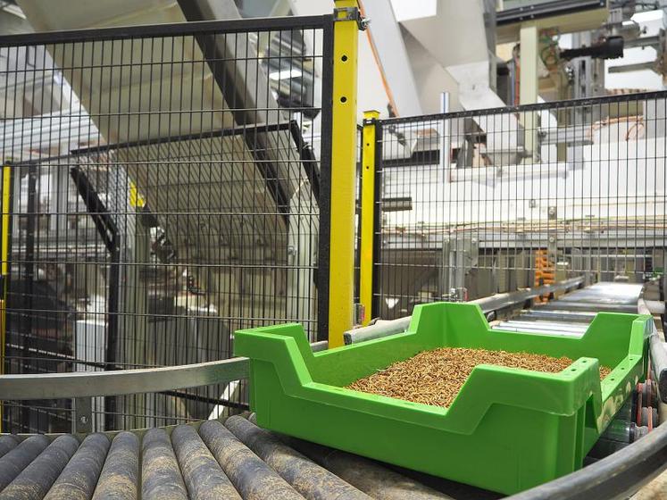 Processus de transformation : lorsque les larves de Molitor arrivent à maturité, 95 % sont étuvées, stérilisées, puis transformées en protéines et en huile premium.