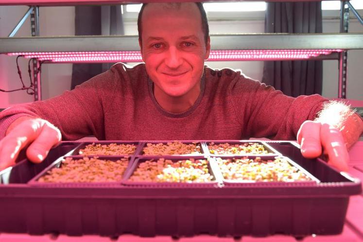 Depuis juin dernier, Christophe Cousin produit cent dix barquettes par an 
avec une vingtaine de variétés. D’ici la fin de cette année, il compte atteindre les trois cents par semaine.