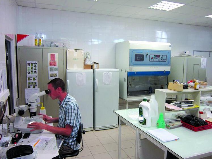 La Fredon de Picardie possède son propre laboratoire de diagnostic des parasites dits "économiques", pour lesquels des moyens de lutte existent.