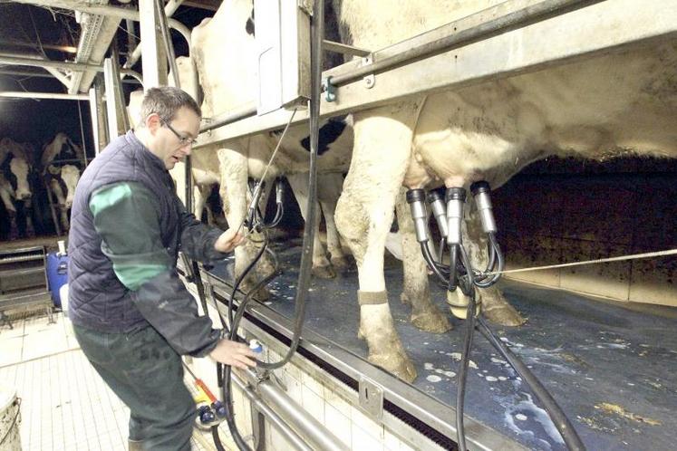 Pour cette campagne, la progression moyenne du lait est estimée à 10 € pour 1 000 l, ce qui positionnerait le prix moyen à 345 €/1 000 l, soit 5 % supérieur à la moyenne décennale. 
