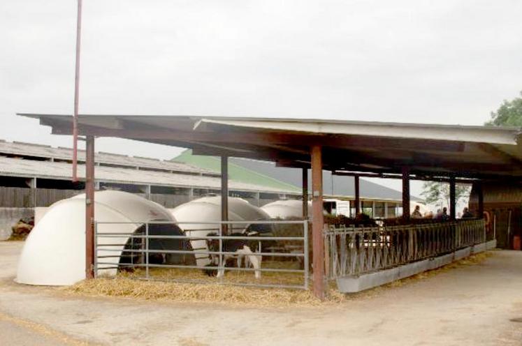 Aménagement des igloos à la SCEA de la Chapelle.