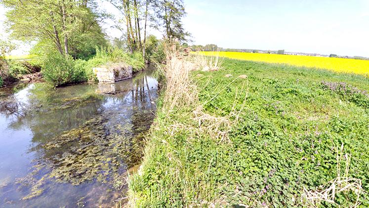 Les bandes tampons, ces bandes végétales localisées le long des cours d’eau, sont réglementées.