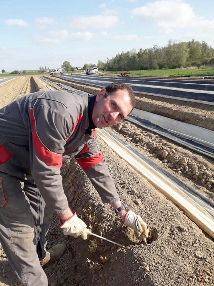 Arnaud et Margaux Gombart, à Sancourt, ont cueilli leurs premières asperges le 10 avril. Il les vendent via un système de drive.