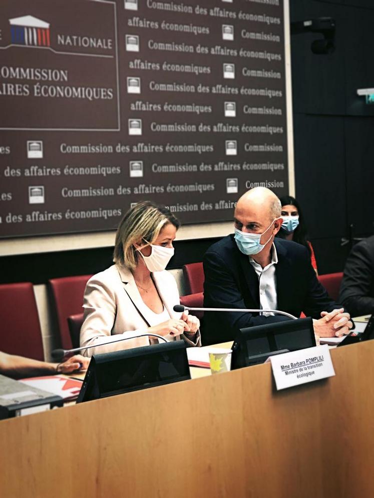 Devant ses anciens collègues de la Commission du développement durable, Barbara Pompili a dressé la liste des responsabilités face à l'échec de l'interdiction des NNI et l'absence d'alternatives.