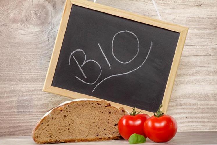 La part des nouveaux consommateurs de produits biologiques (depuis moins d’un an) enregistre également 
une belle progression, ce qui témoigne d’un changement des habitudes alimentaires.