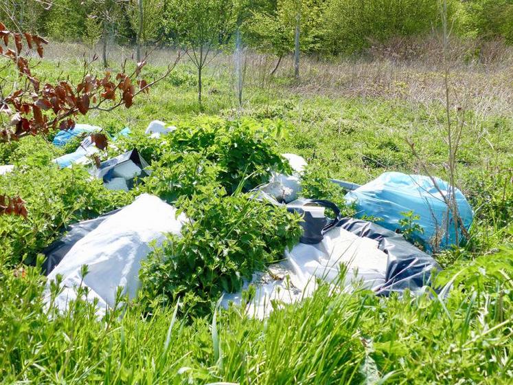 Les dépôts sauvages sont punis par la loi : entre 68 et 75 000 € d’amende, et deux ans de prison, selon que l’on 
soit un particulier ou un professionnel.