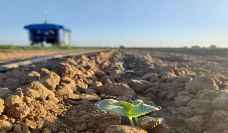 Le robot d’observation des cultures, The Plant Buggy, a été dévoilé le 12 octobre.