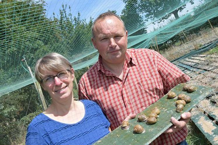 Valérie et Valère Caron dans l’un de leurs parcs d’engraissement.