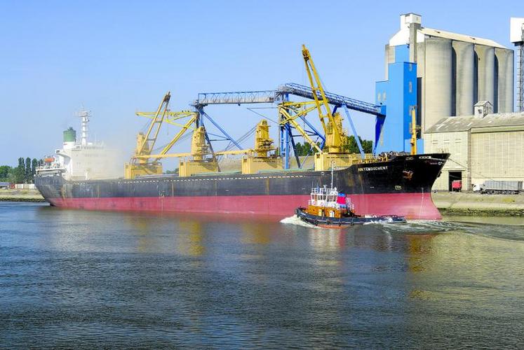 Des exportations de blé ont battu des reccord en février dernier.