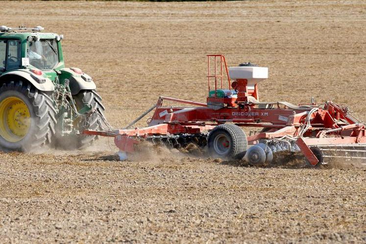 Compte tenu des conditions climatiques, d'un point de vue technique, semer des SIE ou de simples Cipan aujourd'hui n'est pas d'une grande pertinence économique ou agronomique.