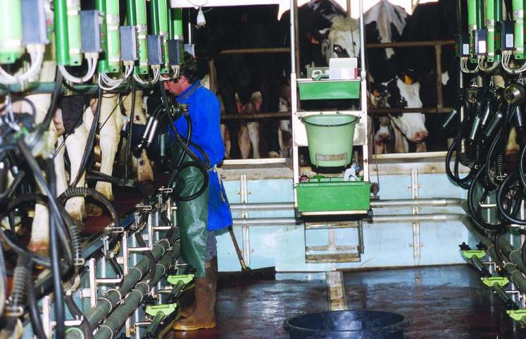 Des quotas laitiers supplémentaires peuvent être attribués gratuitement aux producteurs laitiers ou aux jeunes agriculteurs qui débutent une production laitière.