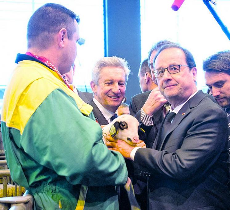 L’agriculture, «fierté» et «chance pour la France». C'est ce que François Hollande n’a pas manqué de rappeler sans grande originalité mais avec une certaine conviction tout au long de sa visite, conclue par un remerciement général aux agriculteurs et au public toujours nombreux.