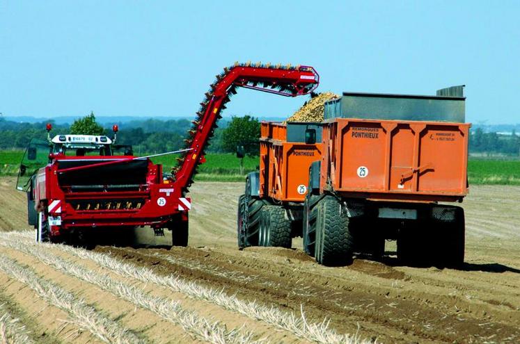 Les règles et usages du commerce intereuropéen de la pomme de terre (RUCIP) s’appliquent à toutes les affaires de pommes de terre.