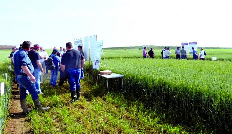 Les agriculteurs ont échangé avec les conseillers des chambres 
sur différents sujets techniques.