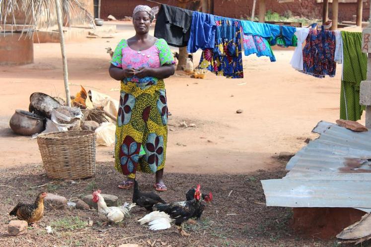 L’organisation paysanne souhaite soutenir financièrement cinquante producteurs dans la construction d’un poulailler et l’achat d’animaux.