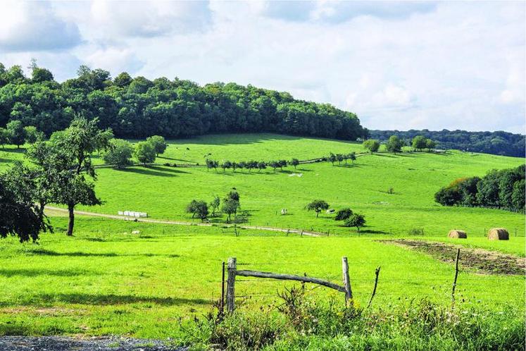 Sur les 15 285 ha du marché de l'espace rural en Picardie, une partie des surfaces vendues n'est pas accessible à la Safer.