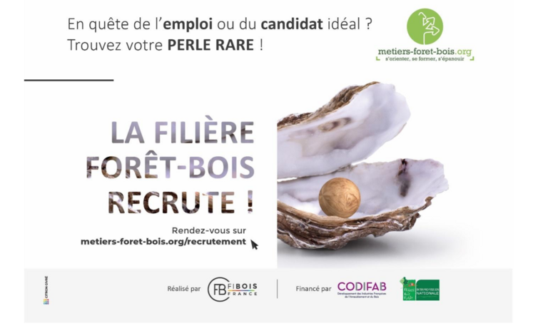 emploi bois recrutement