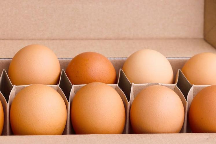 Si le consommateur dit vouloir des œufs d’élevage dans lesquels on exclut l’élimination des poussins mâles, il y a un surcoût qui reste difficile à faire accepter.
