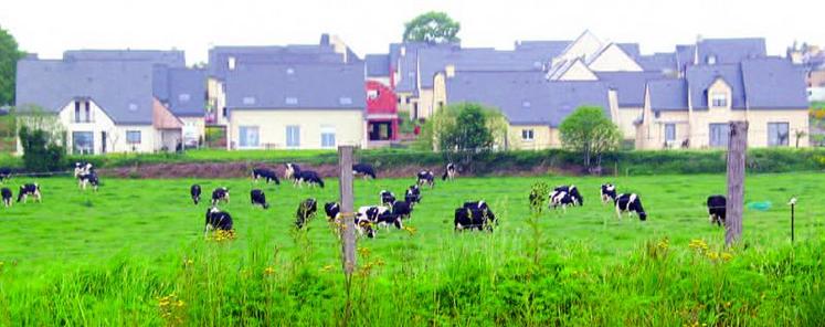 Au lieu de construire en périphérie, mieux vaut favoriser l’occupation des logements vacants de centre-bourg.