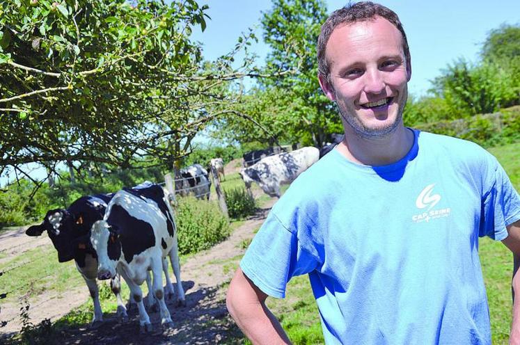 Les vaches passeront en bio l’an prochain.