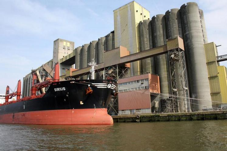 FranceAgriMer s’est résolu à réviser à la baisse ses estimations d’exportation de blé tendre vers les pays tiers 
de 400 000 tonnes (t) à 9,5 millions de tonnes (Mt).