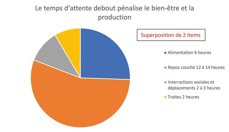 L’emploi du temps idéal d’une vache laitière.
