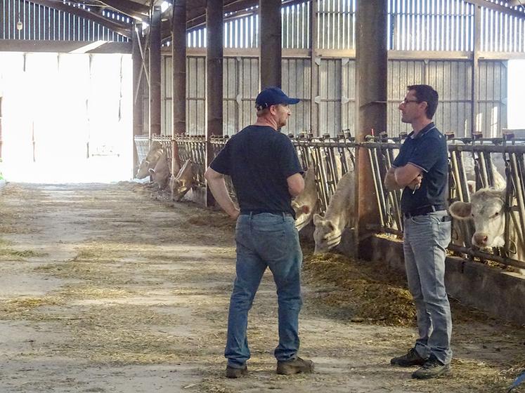 Avec 100 vaches laitières, 40 vaches allaitantes et des cultures, la charge de travail devient une préoccupation lorsque la main-d’œuvre familiale est moins disponible. Au Gaec Lardé Carouge, les discussions avec le technicien ont permis de révéler les problèmes et de trouver des solutions.