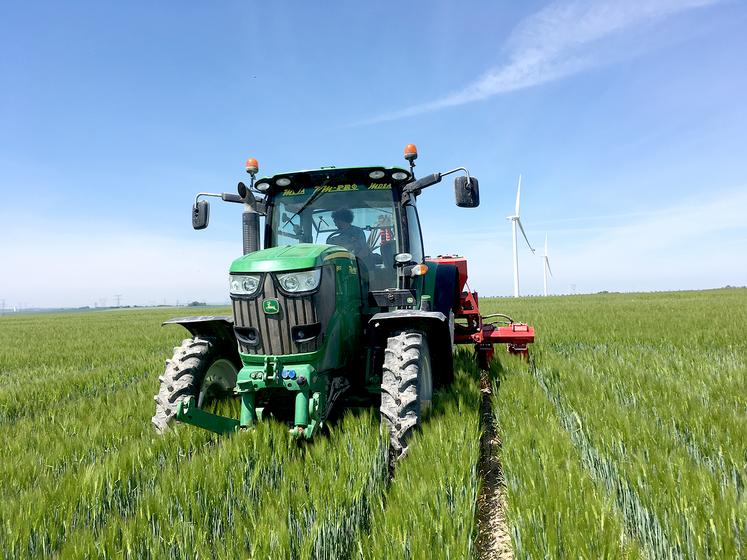 D’ici mi-mai, du maïs sera semé dans les parcelles d’orges de deux agriculteurs, au nord-ouest de l’Aube.
