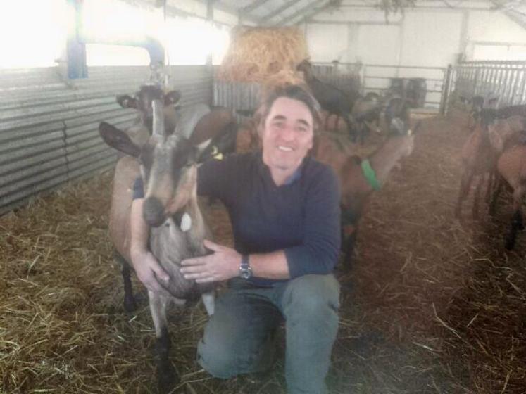 Ce vendredi matin, Georges Gribeauval a retrouvé une porte de l'étable fracturée... Et sept chevrettes avaient disparu.