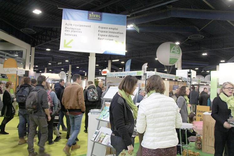 Au-delà de la France, le Sival affirme ses ambitions internationales, avec 15 % d’exposants étrangers, de nombreuses délégations étrangères et un partenariat annoncé au Sival 2019 avec le salon italien des fruits et légumes Macfrut.