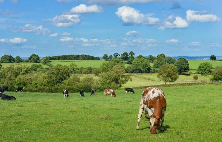 «La production de viande est souvent décriée. Entrer dans la démarche nous permet de montrer au grand public la vertueusité de nos pratiques», affirme Franck Seguignier éleveur de la Nièvre.