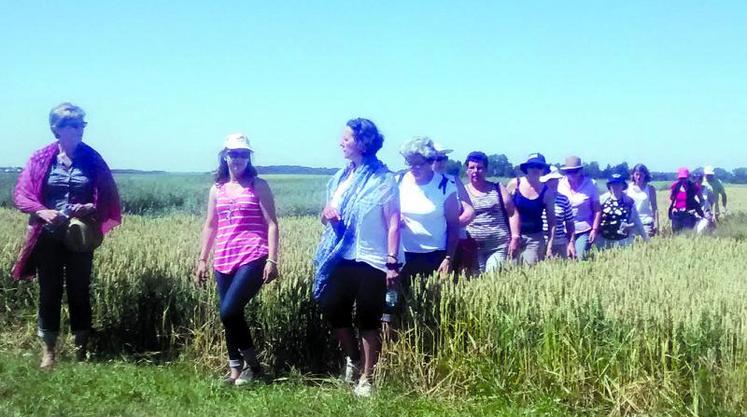 Le groupe chez Bonduelle... et sur le site de l'Inra.