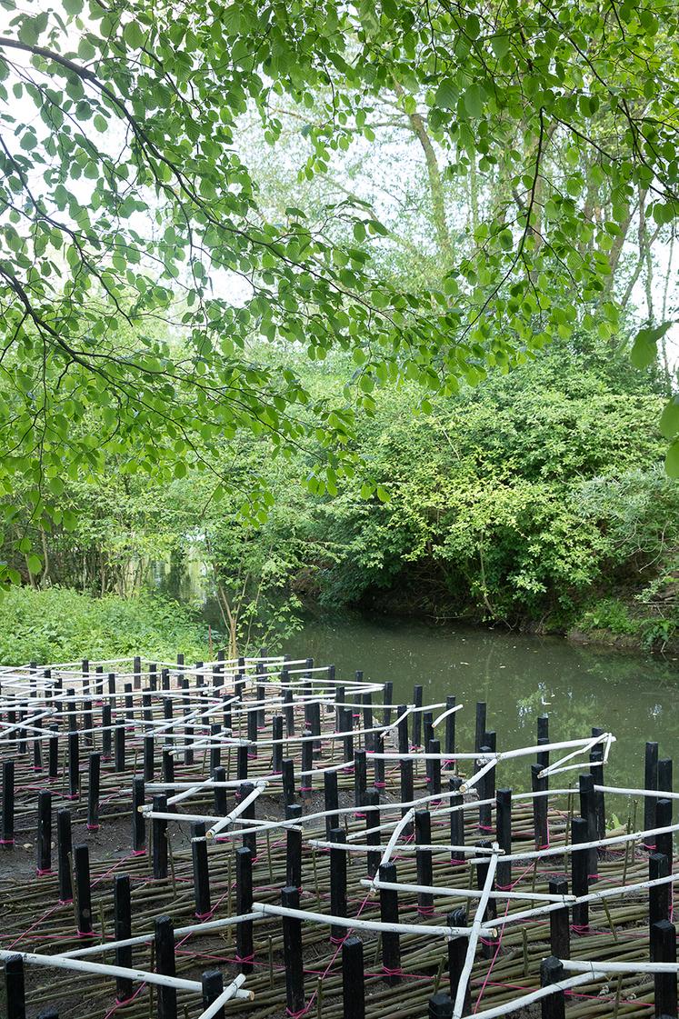 La plasticienne américaine Thrase Design Studio pose la question de l’érosion  des berges avec l’installation de boutures de saule.