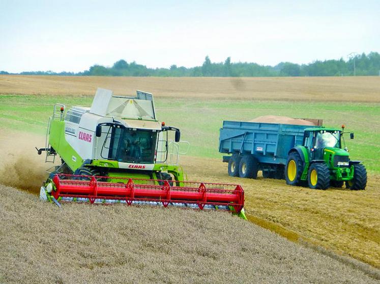 Une moisson aux résultats catastrophiques.